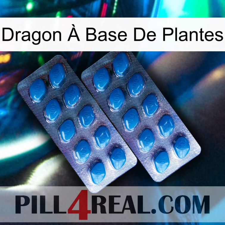 Dragon À Base De Plantes viagra2